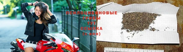 не бодяженный Армянск