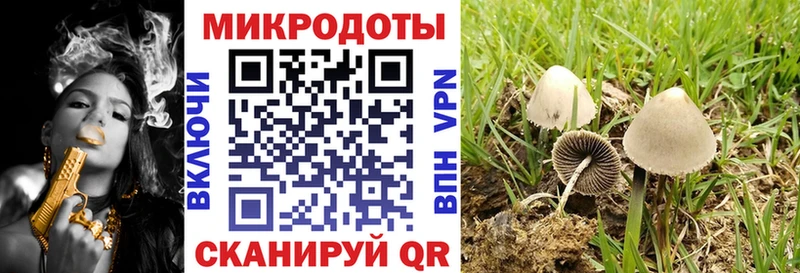 Галлюциногенные грибы MAGIC MUSHROOMS  закладки  Лихославль 